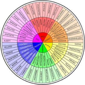 feel wheel